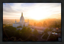 Load image into Gallery viewer, Oakland Sunburst
