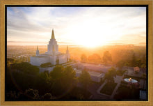 Load image into Gallery viewer, Oakland Sunburst
