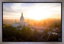 Load image into Gallery viewer, Oakland Sunburst
