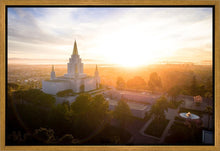 Load image into Gallery viewer, Oakland Sunburst
