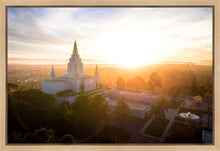 Load image into Gallery viewer, Oakland Sunburst
