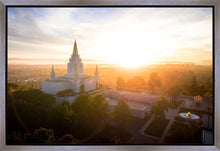 Load image into Gallery viewer, Oakland Sunburst
