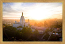 Load image into Gallery viewer, Oakland Sunburst
