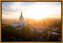 Load image into Gallery viewer, Oakland Sunburst
