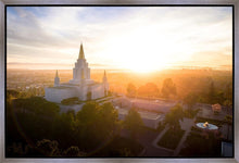 Load image into Gallery viewer, Oakland Sunburst
