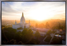 Load image into Gallery viewer, Oakland Sunburst
