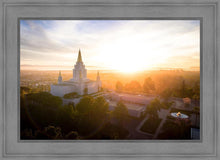 Load image into Gallery viewer, Oakland Sunburst
