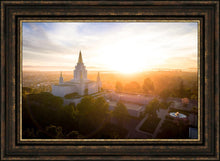 Load image into Gallery viewer, Oakland Sunburst

