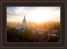 Load image into Gallery viewer, Oakland Sunburst
