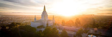 Load image into Gallery viewer, Oakland Sunburst
