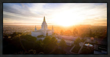 Load image into Gallery viewer, Oakland Sunburst
