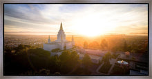 Load image into Gallery viewer, Oakland Sunburst
