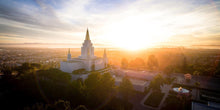 Load image into Gallery viewer, Oakland Sunburst
