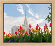 Load image into Gallery viewer, Ogden Flowers
