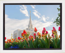Load image into Gallery viewer, Ogden Flowers

