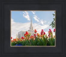 Load image into Gallery viewer, Ogden Flowers
