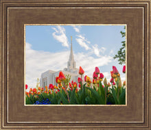 Load image into Gallery viewer, Ogden Flowers

