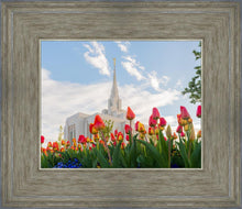 Load image into Gallery viewer, Ogden Flowers
