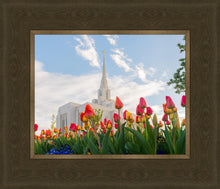 Load image into Gallery viewer, Ogden Flowers
