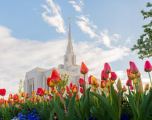 Load image into Gallery viewer, Ogden Flowers
