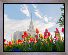 Load image into Gallery viewer, Ogden Flowers
