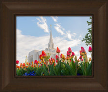 Load image into Gallery viewer, Ogden Flowers
