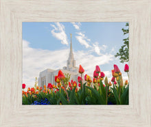 Load image into Gallery viewer, Ogden Flowers
