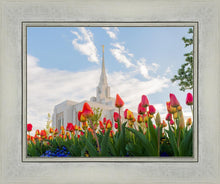 Load image into Gallery viewer, Ogden Flowers
