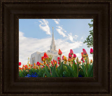 Load image into Gallery viewer, Ogden Flowers
