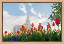 Load image into Gallery viewer, Ogden Flowers
