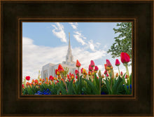 Load image into Gallery viewer, Ogden Flowers
