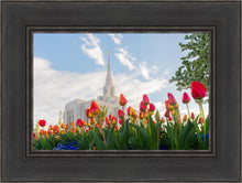 Load image into Gallery viewer, Ogden Flowers
