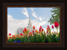 Load image into Gallery viewer, Ogden Flowers
