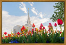 Load image into Gallery viewer, Ogden Flowers
