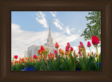 Load image into Gallery viewer, Ogden Flowers
