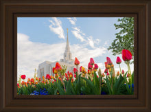 Load image into Gallery viewer, Ogden Flowers
