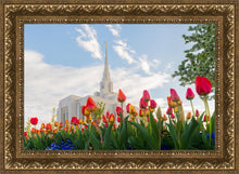 Load image into Gallery viewer, Ogden Flowers
