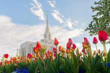 Load image into Gallery viewer, Ogden Flowers
