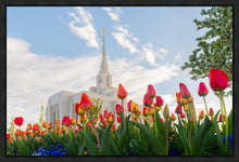 Load image into Gallery viewer, Ogden Flowers
