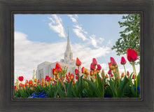 Load image into Gallery viewer, Ogden Flowers

