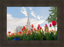 Load image into Gallery viewer, Ogden Flowers
