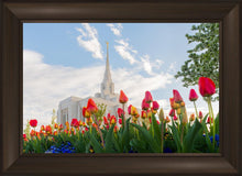 Load image into Gallery viewer, Ogden Flowers
