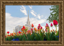 Load image into Gallery viewer, Ogden Flowers
