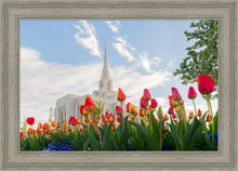Load image into Gallery viewer, Ogden Flowers
