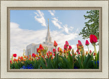 Load image into Gallery viewer, Ogden Flowers
