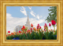 Load image into Gallery viewer, Ogden Flowers
