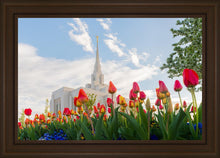 Load image into Gallery viewer, Ogden Flowers
