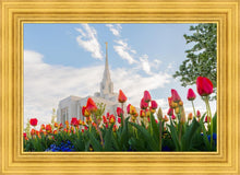 Load image into Gallery viewer, Ogden Flowers
