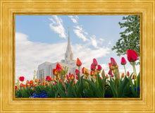 Load image into Gallery viewer, Ogden Flowers
