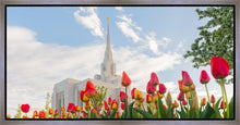 Load image into Gallery viewer, Ogden Flowers
